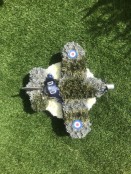 SPITFIRE